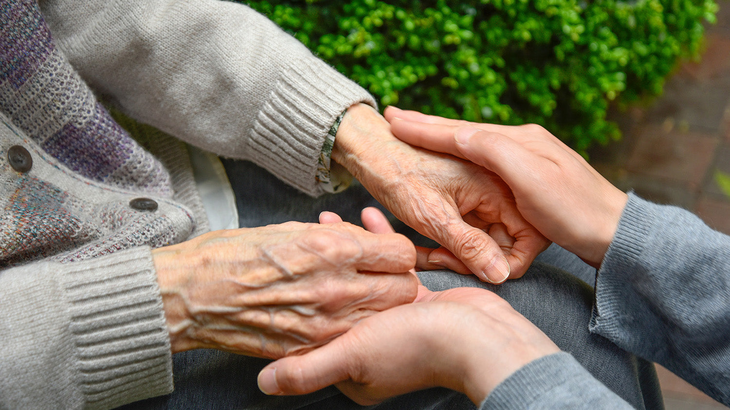 A person holding the hands of an elderly person in a caring manner.